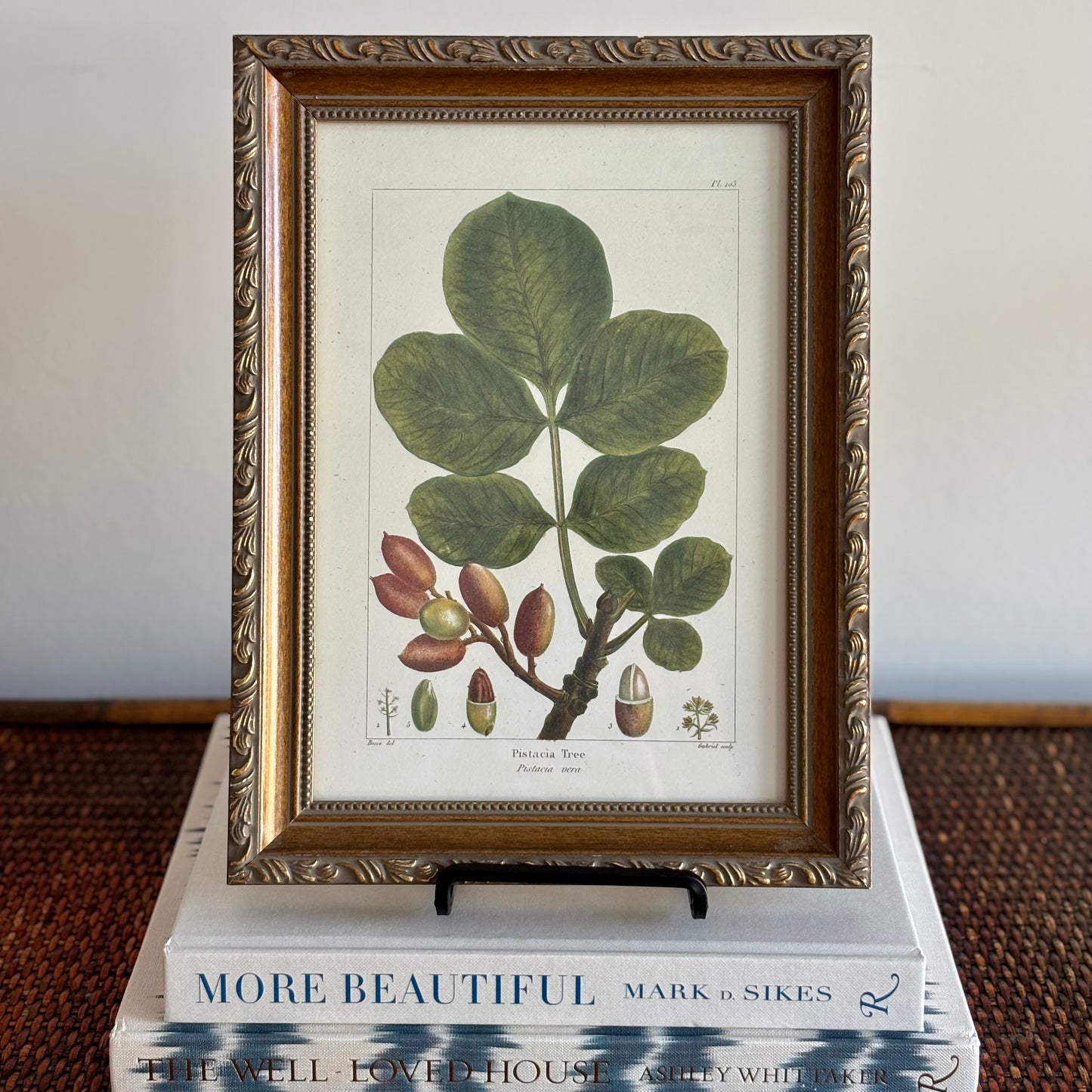 Pair of Botanical Prints