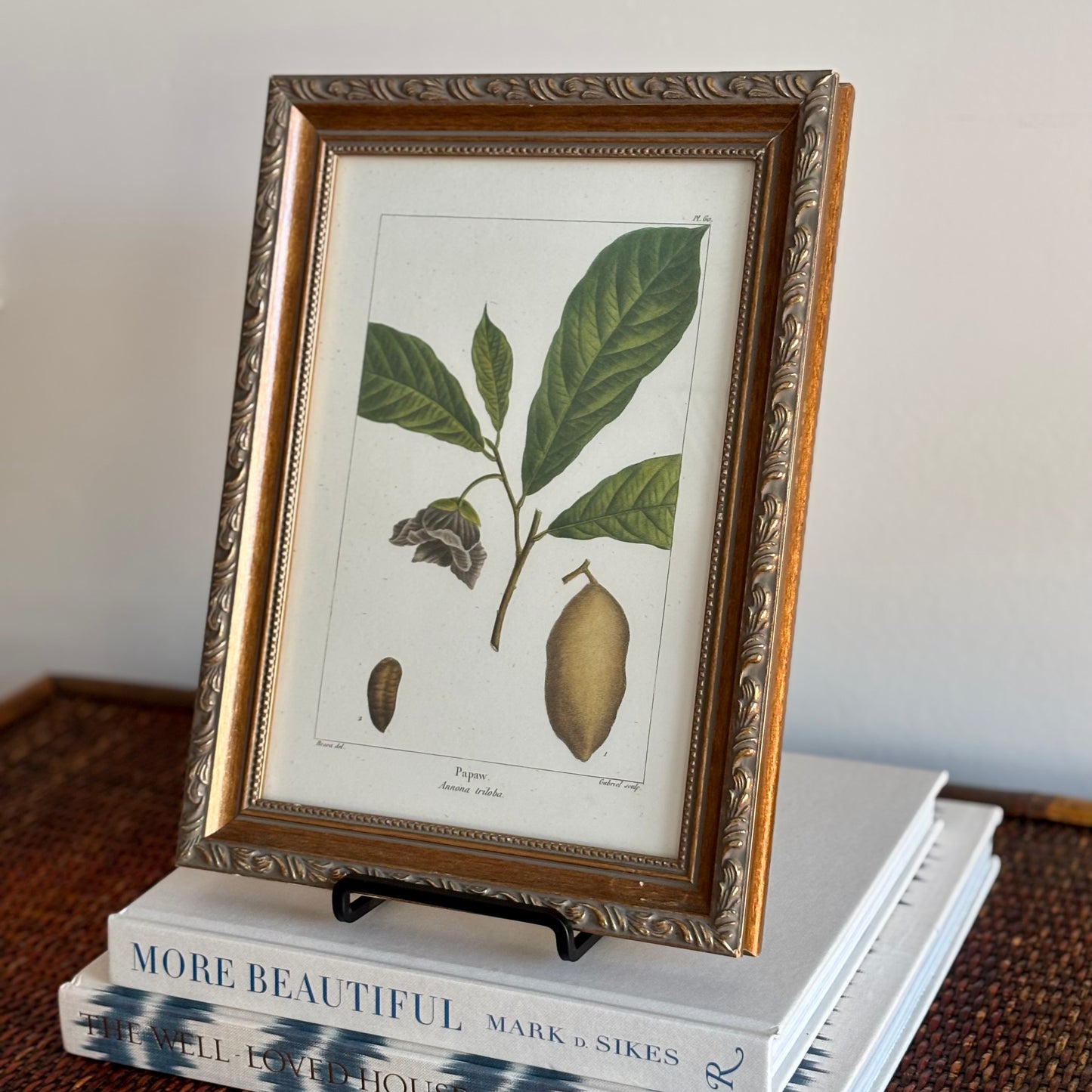 Pair of Botanical Prints