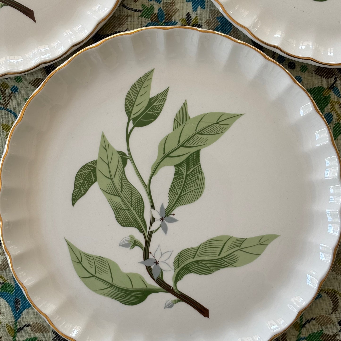 Set of 6 Botanical Large Plates