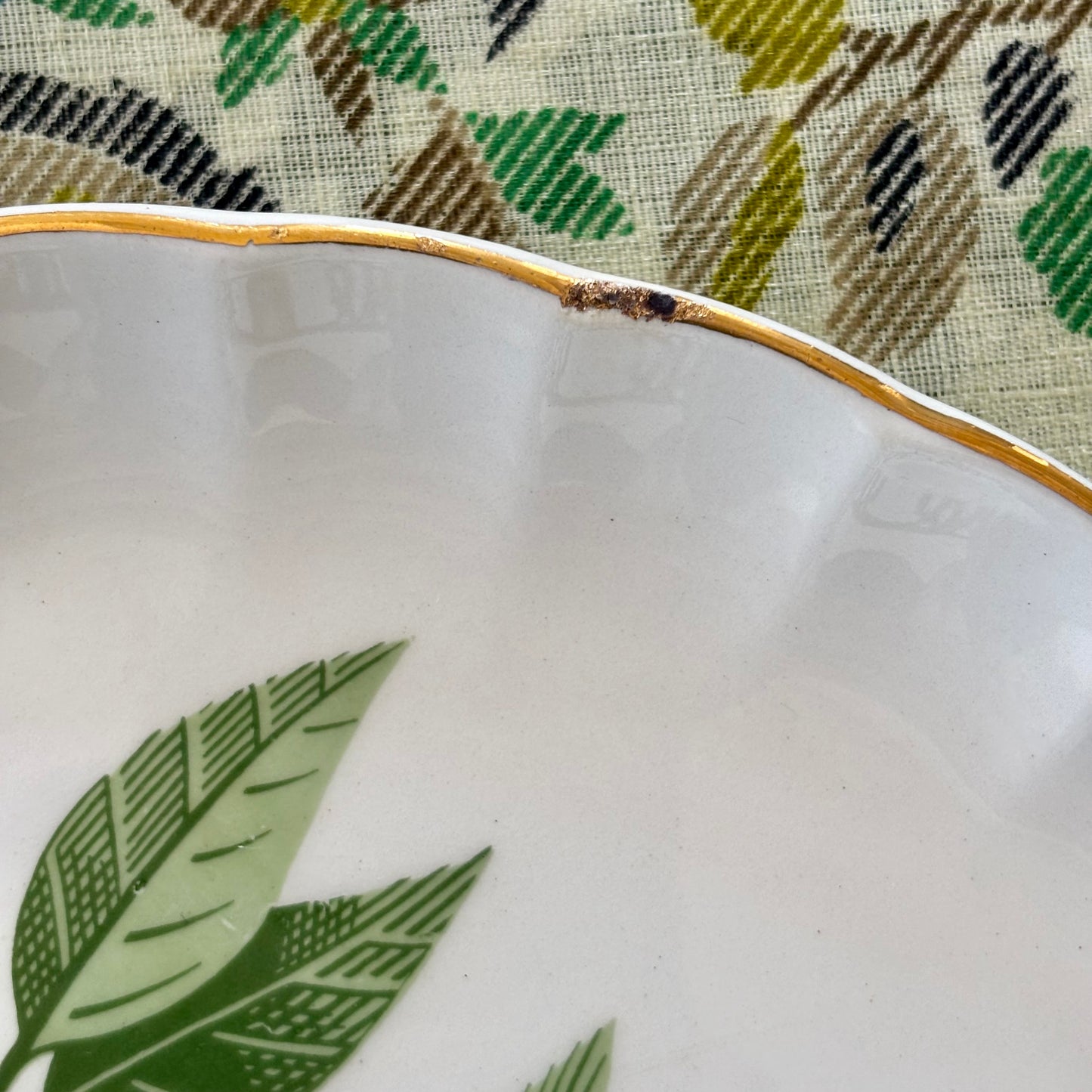 Set of 6 Botanical Large Plates