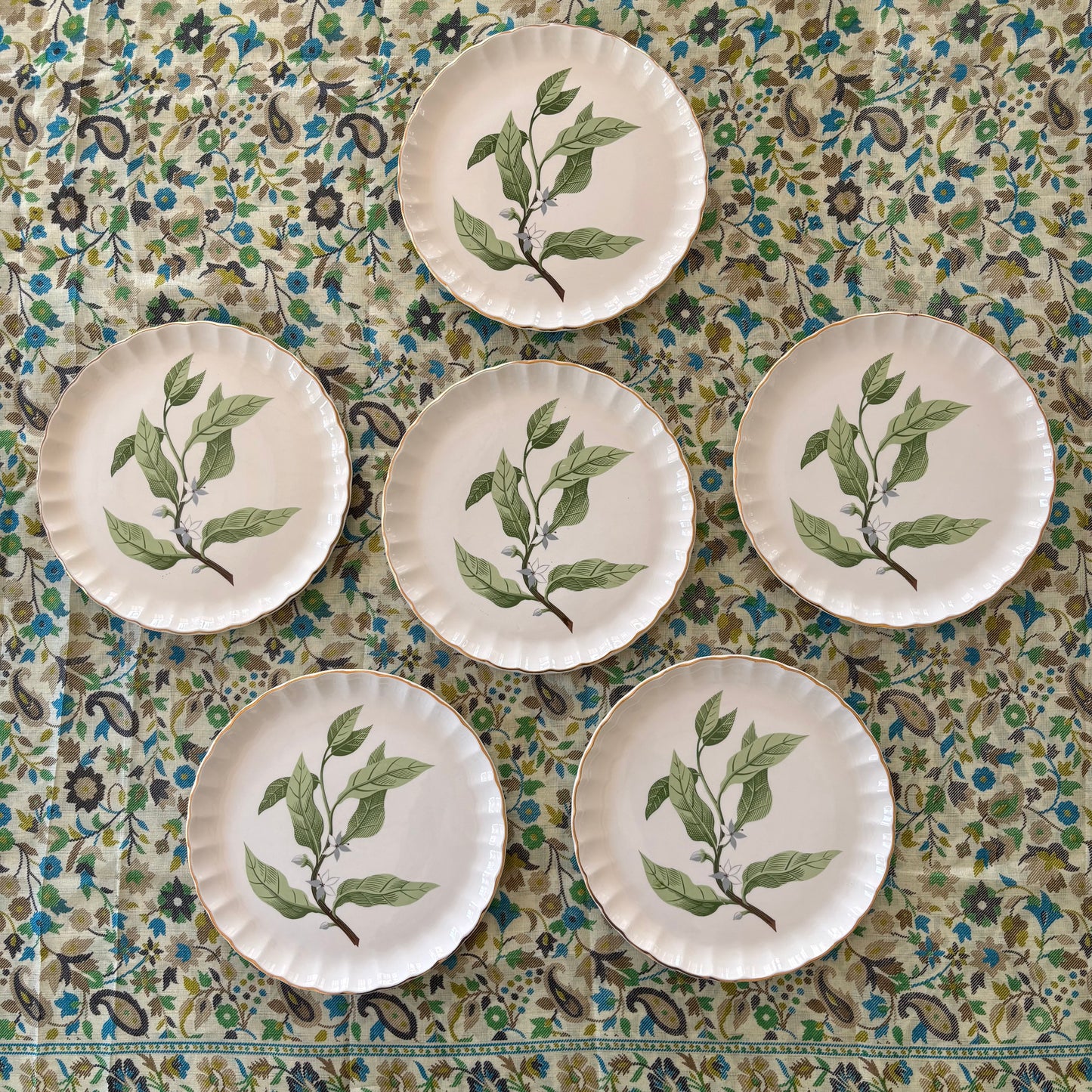 Set of 6 Botanical Large Plates