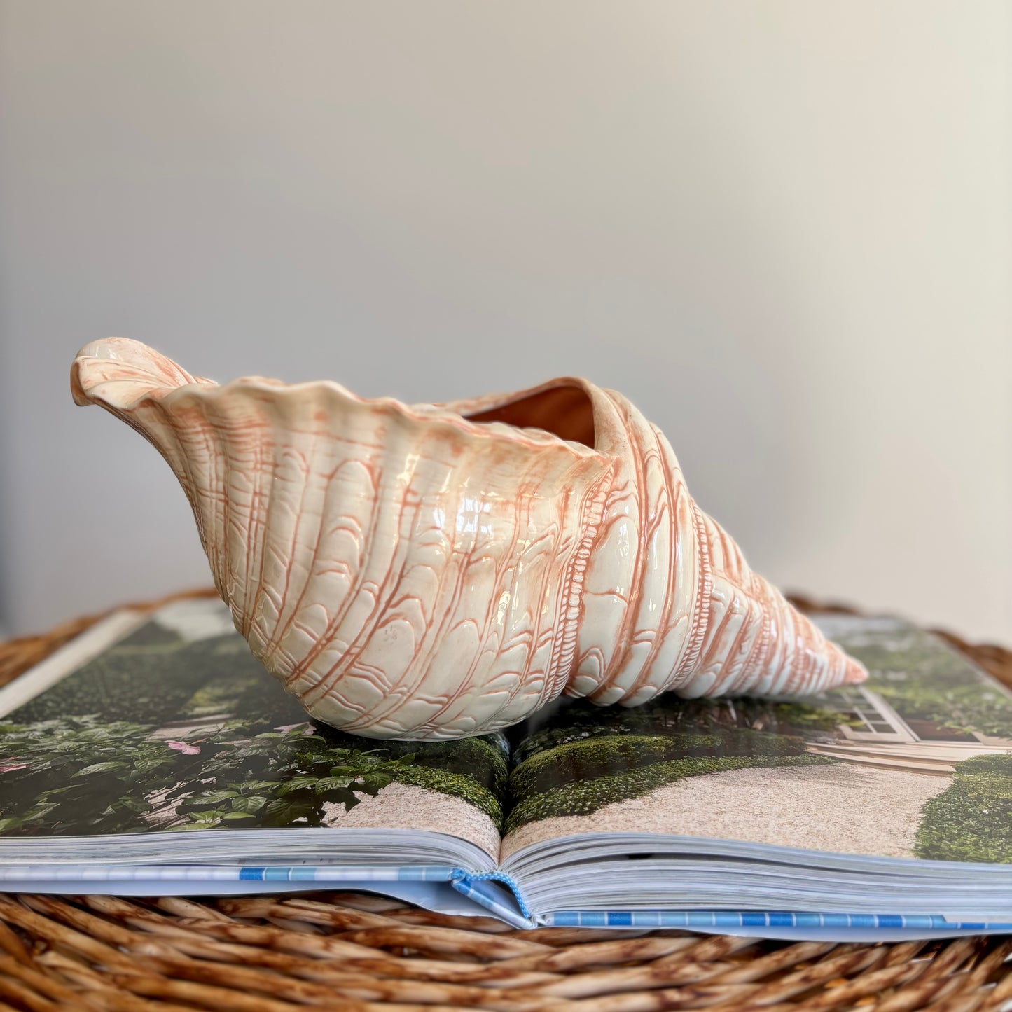 Ceramic Shell Cachepot