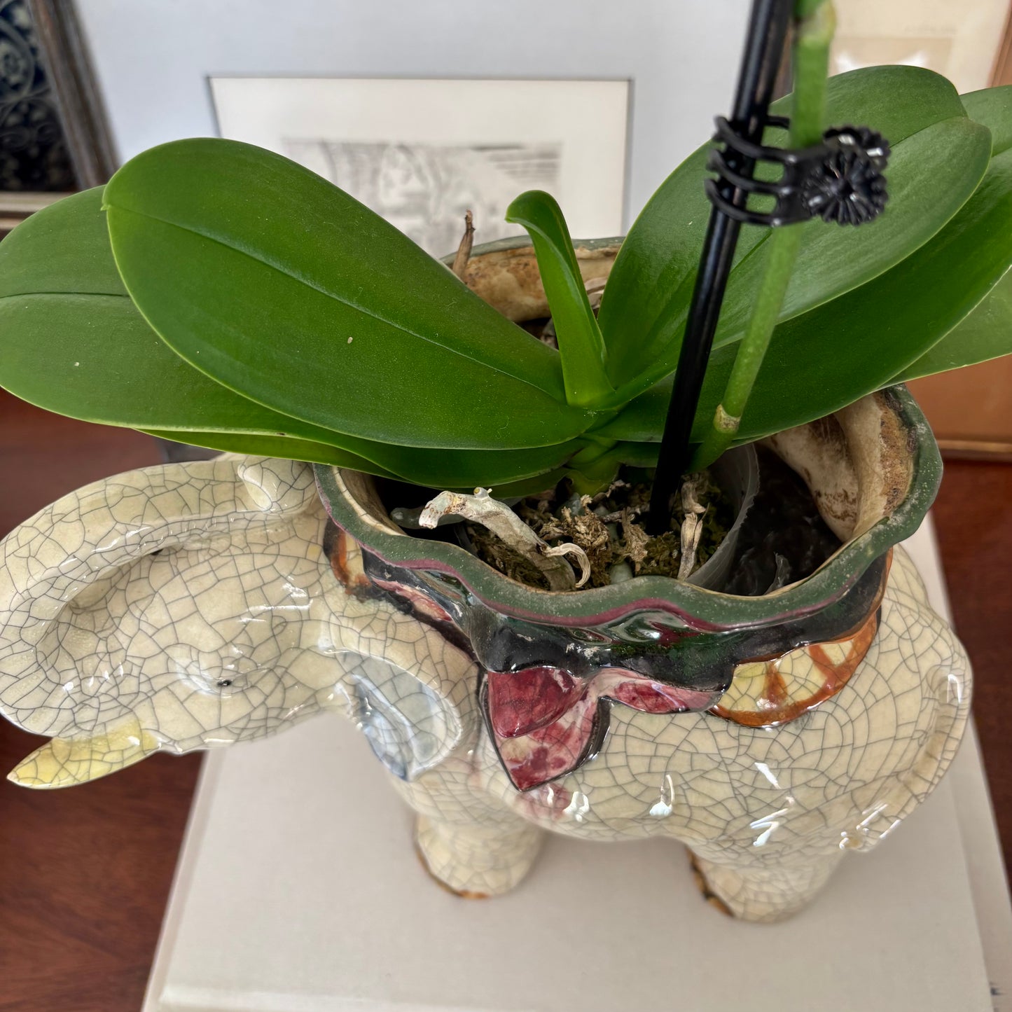 Ceramic Elephant Cachepot