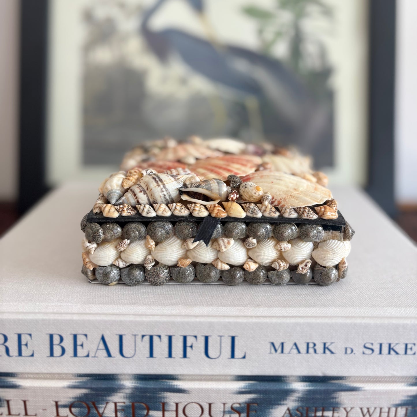 Shell Box