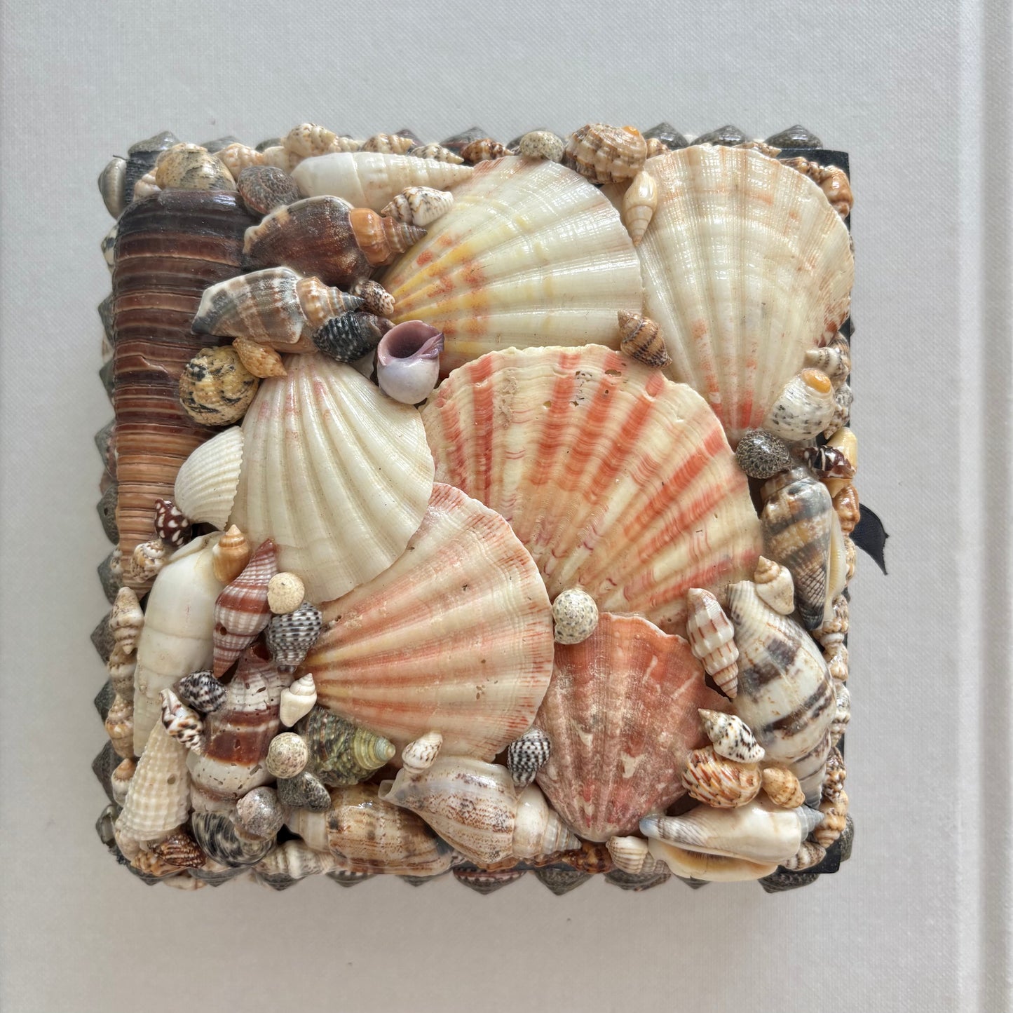 Shell Box
