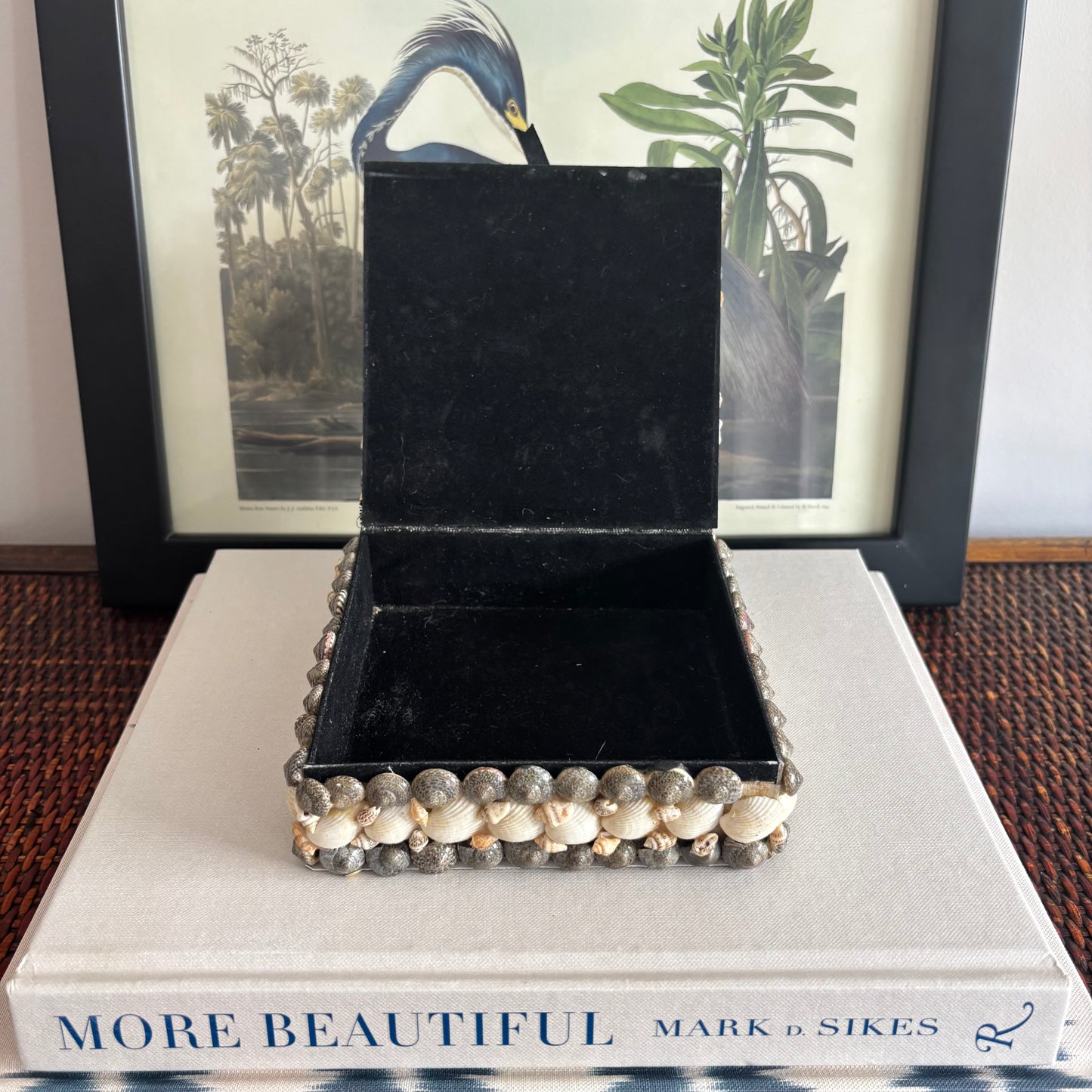 Shell Box