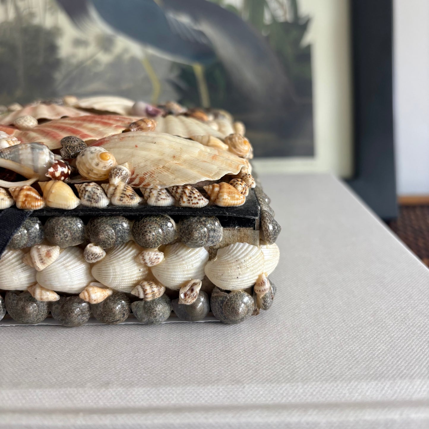 Shell Box