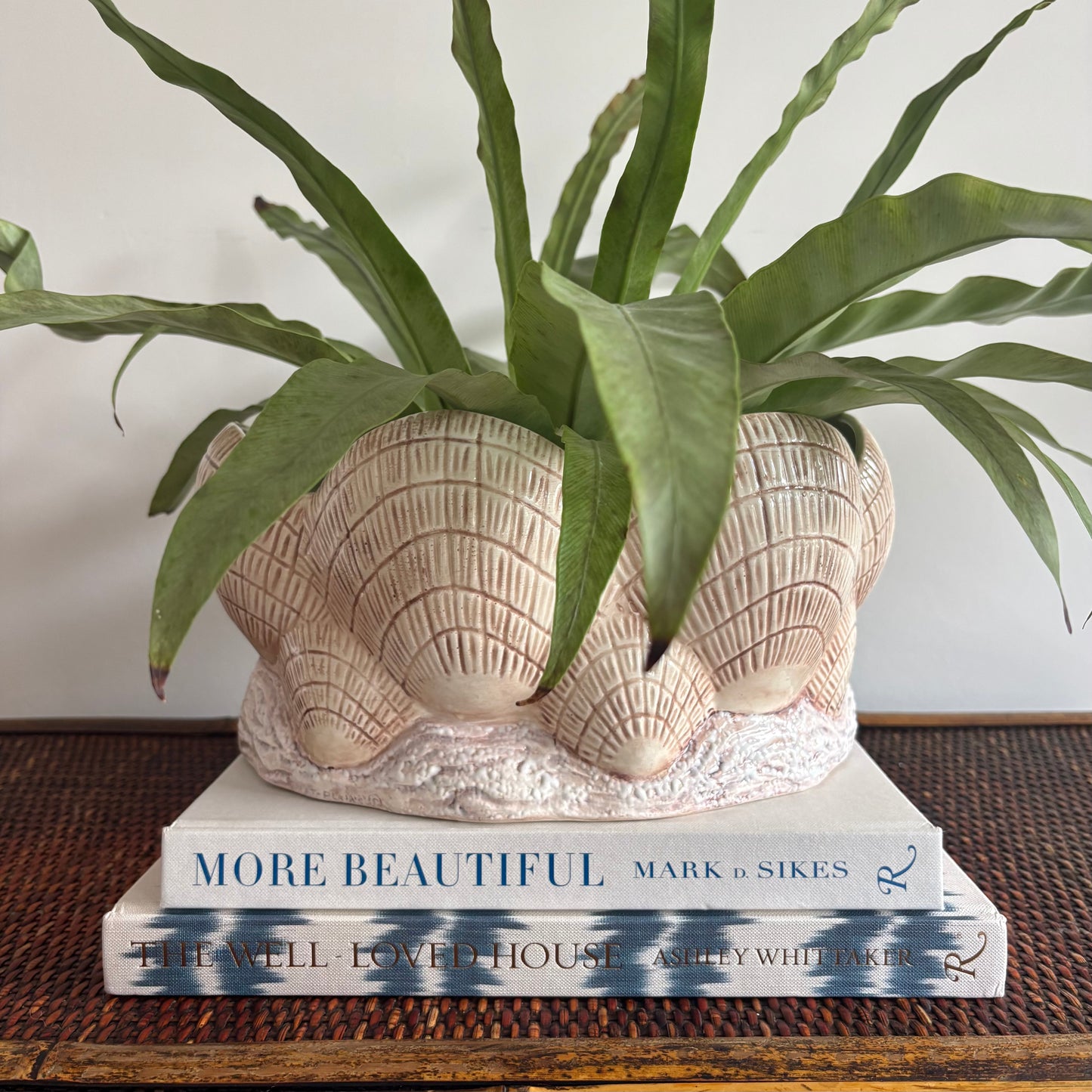 Ceramic Shell Cachepot