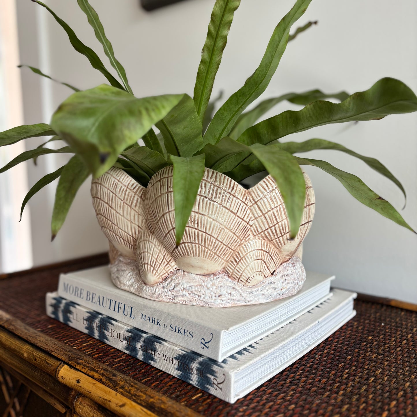 Ceramic Shell Cachepot