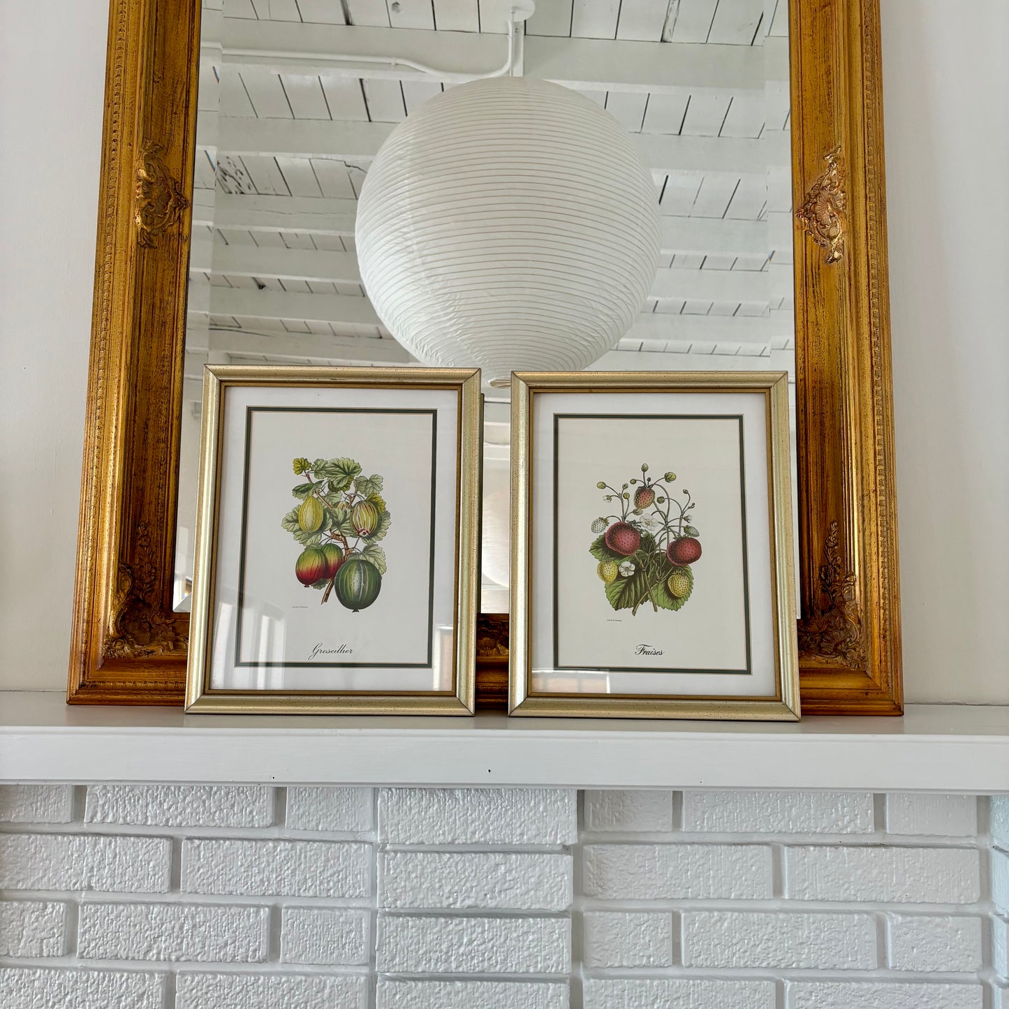 Pair of Vintage Fruit Prints