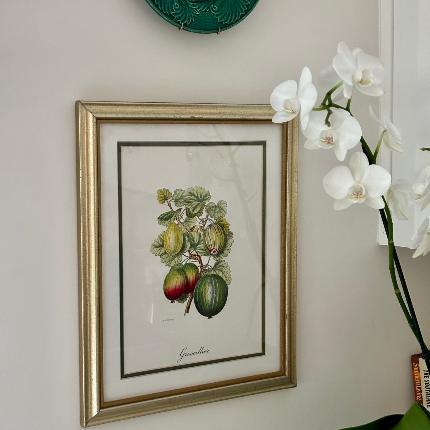 Pair of Vintage Fruit Prints