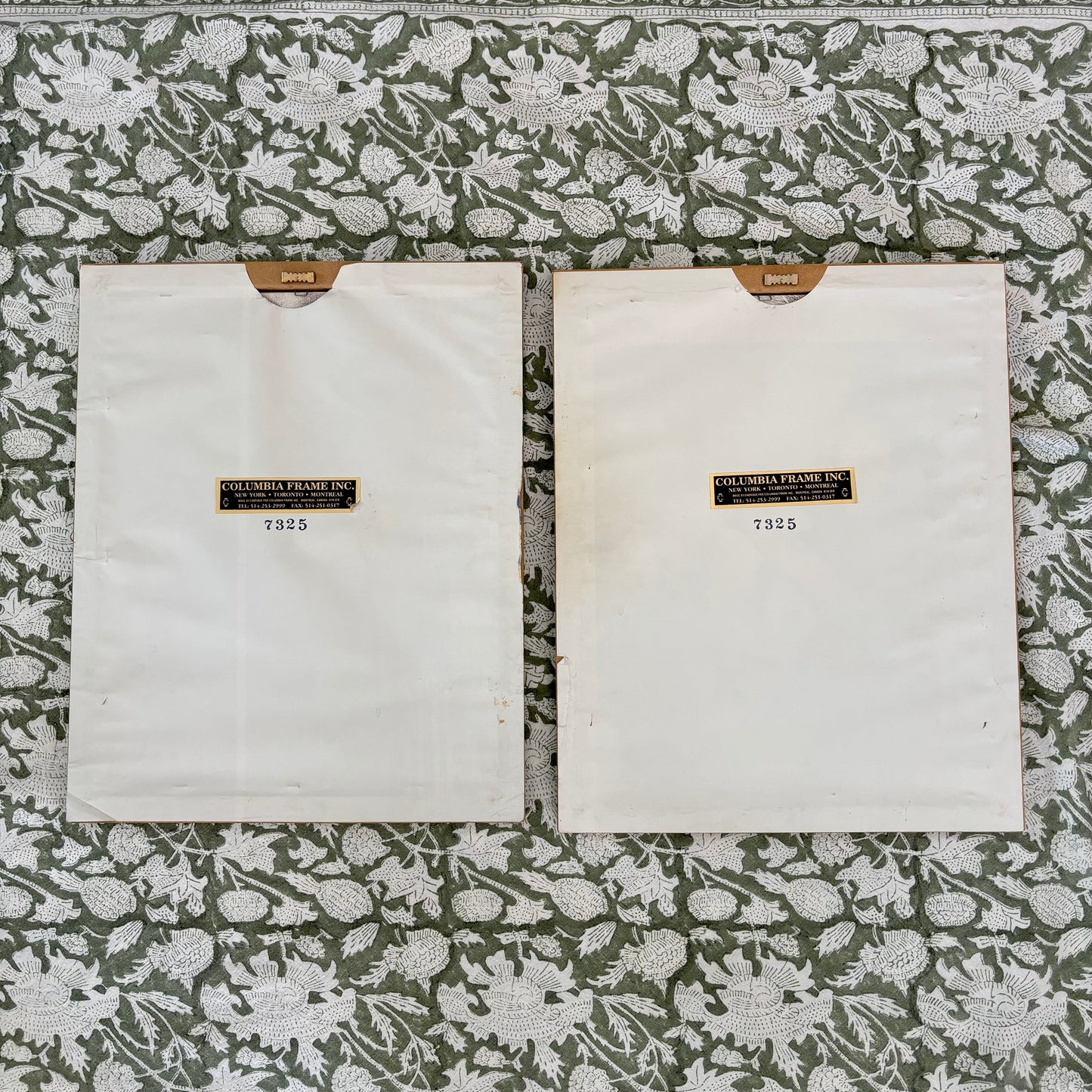 Pair of Vintage Fruit Prints