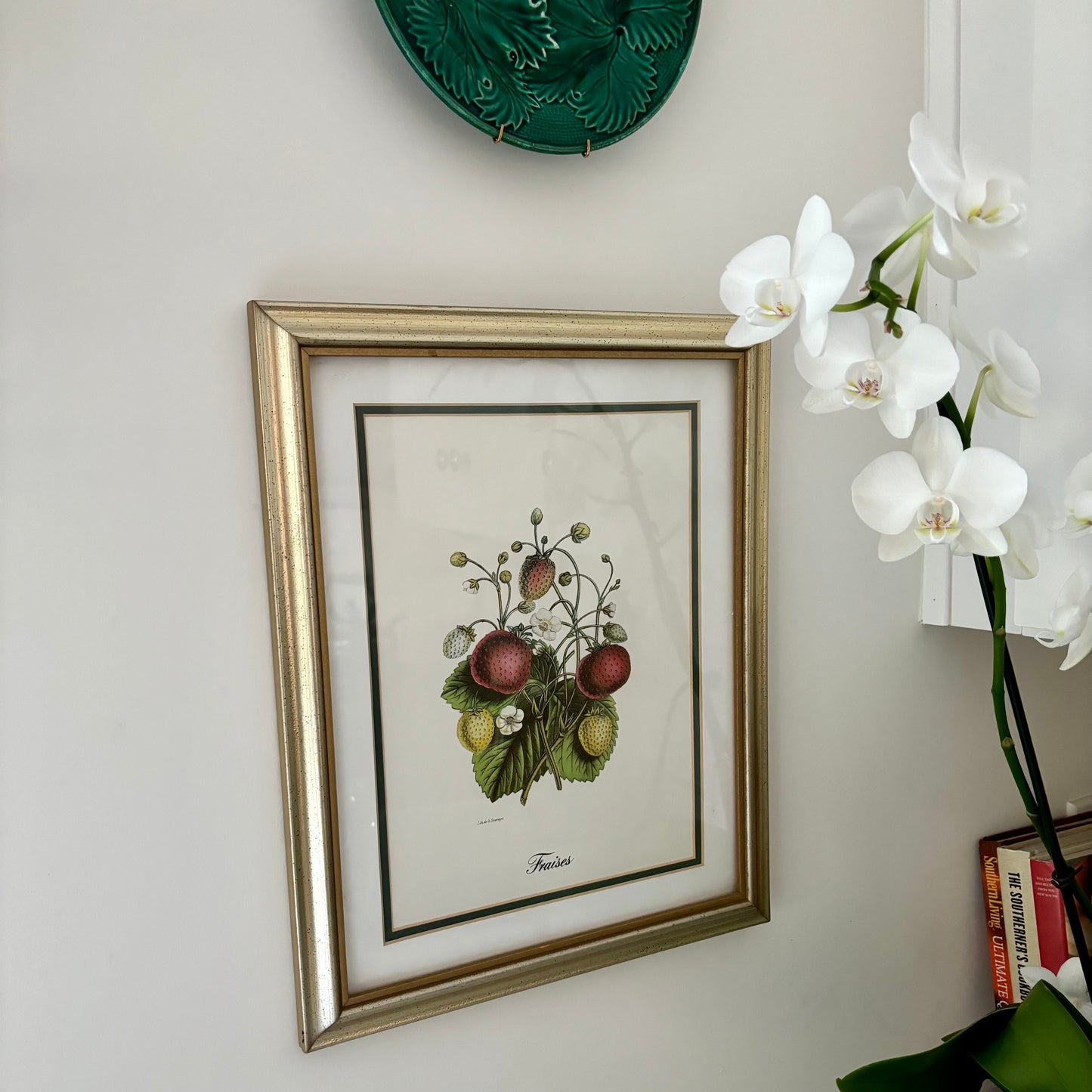 Pair of Vintage Fruit Prints