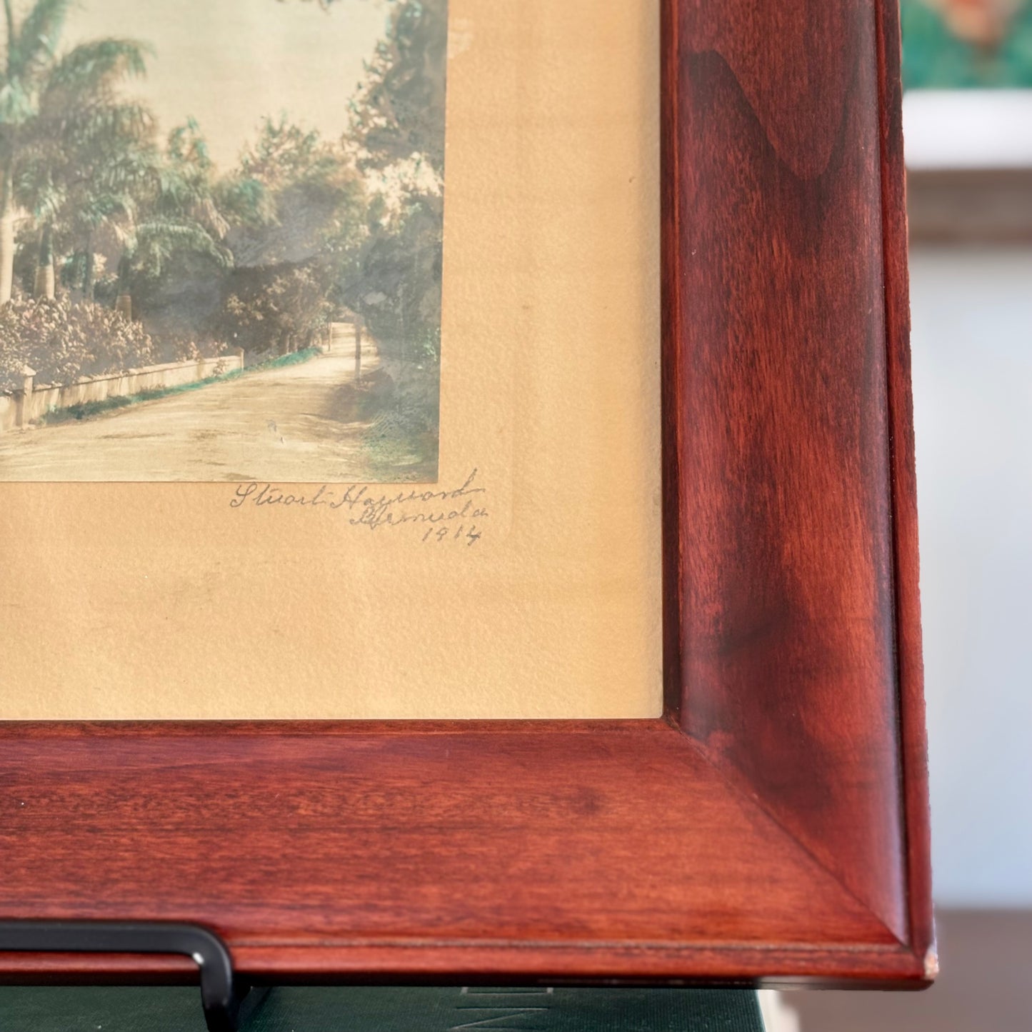 Vintage Stuart Hayward Bermuda Photograph