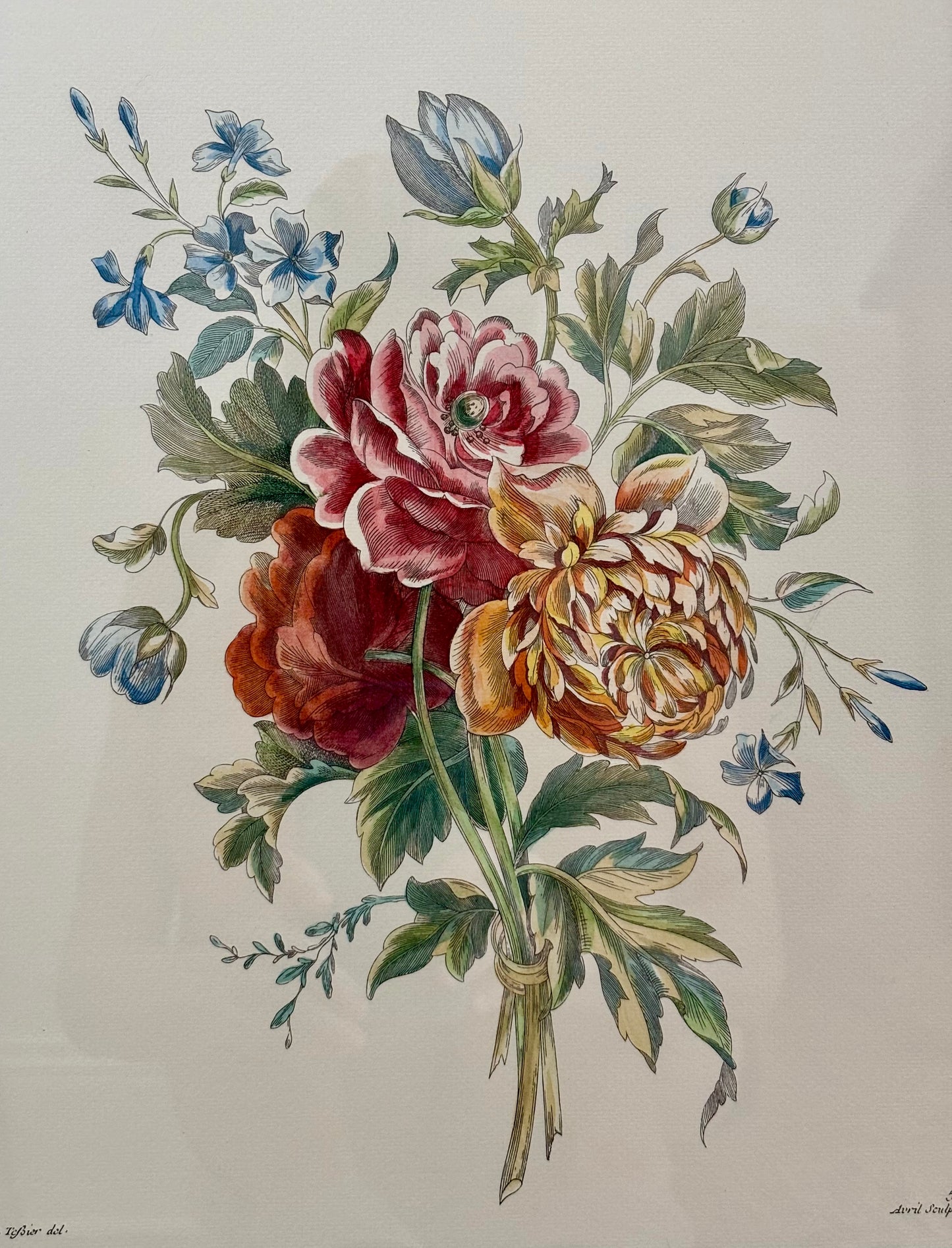 Set of 3 Botanical Prints
