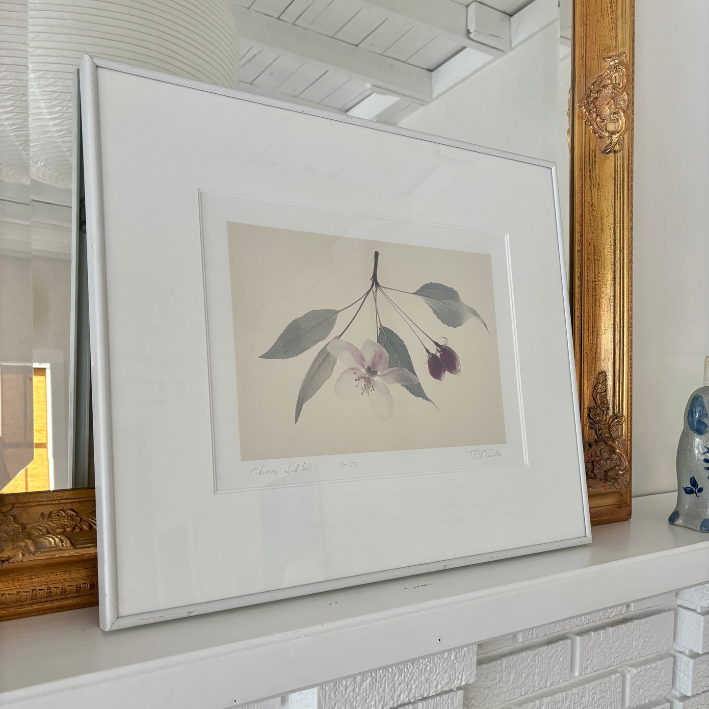 Vintage Fine Art Botanical Photograph