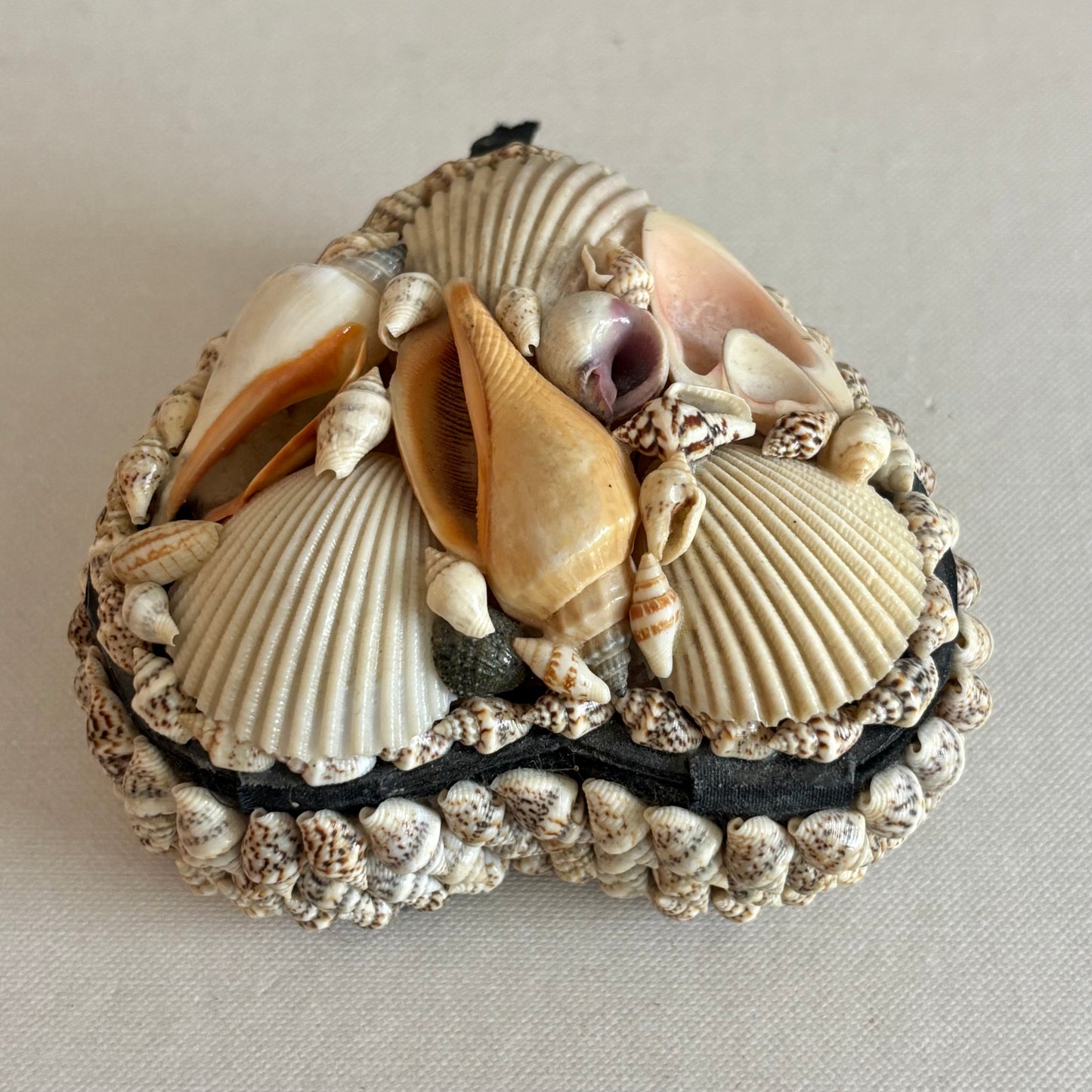 Heart Shell Box