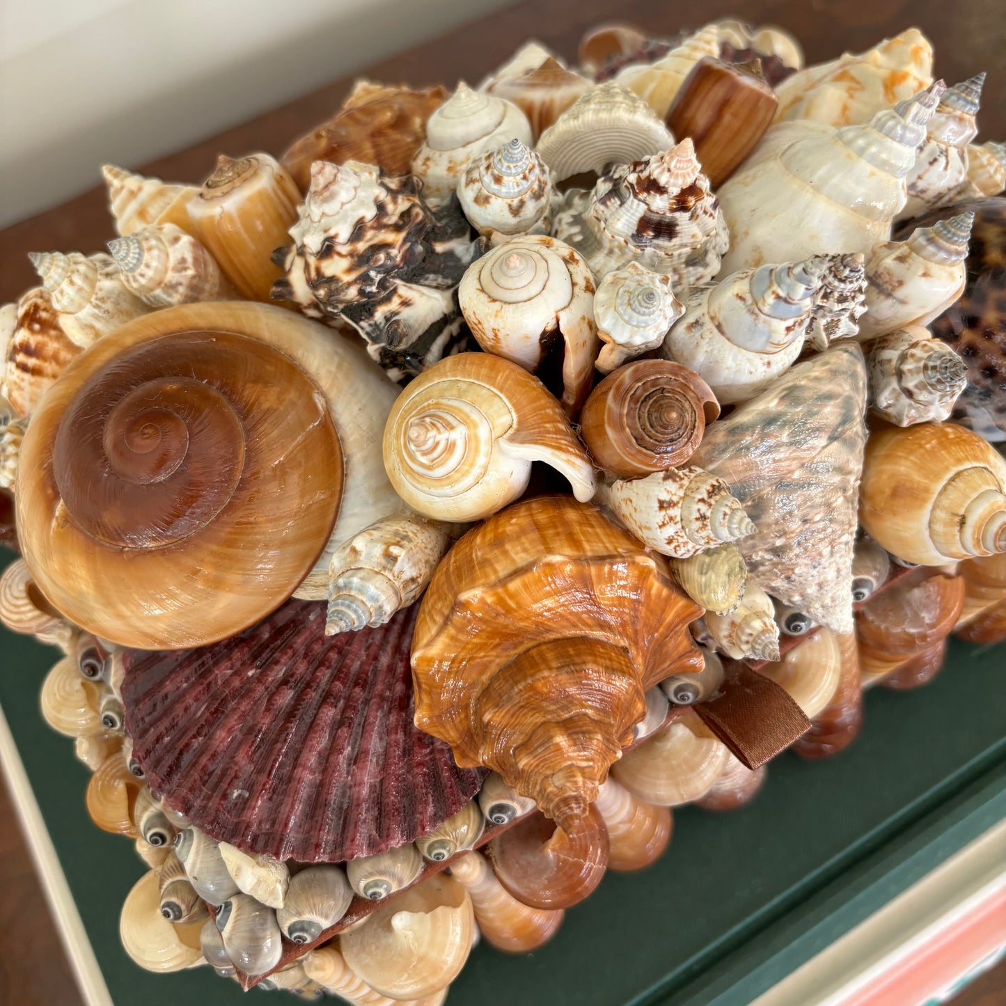 Shell Box- Large