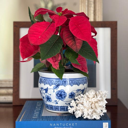 Vintage Blue and White Planter