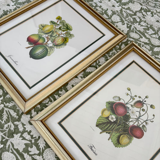 Pair of Vintage Fruit Prints