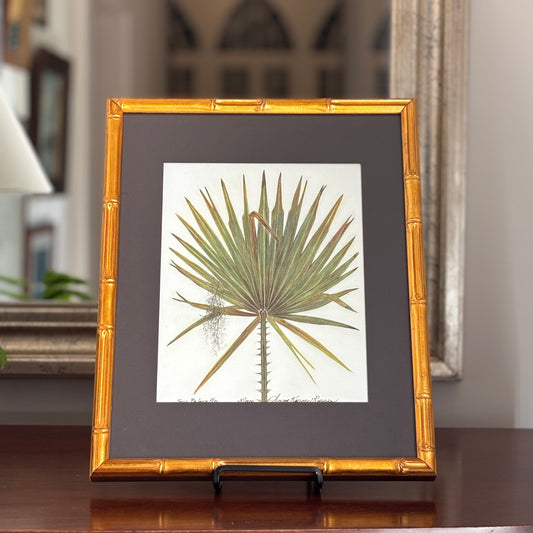 Saw Palmetto Lithograph