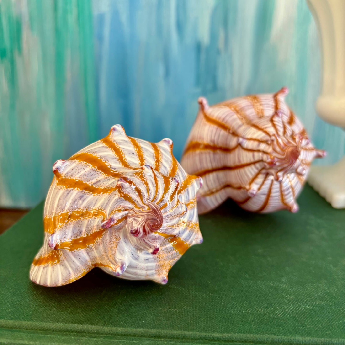 Pair of Estate Silkwood Glass Conch Shells