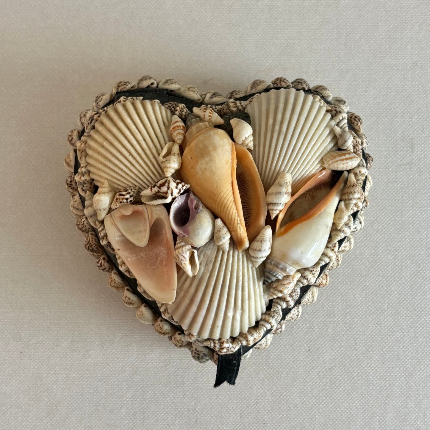 Heart Shell Box