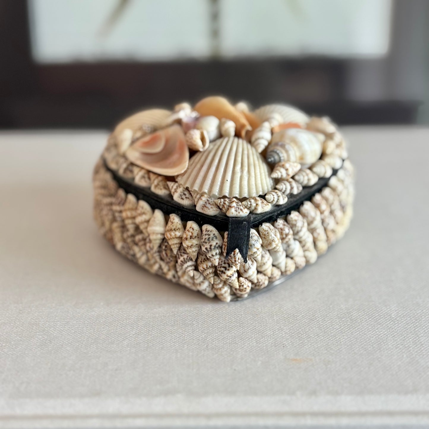 Heart Shell Box