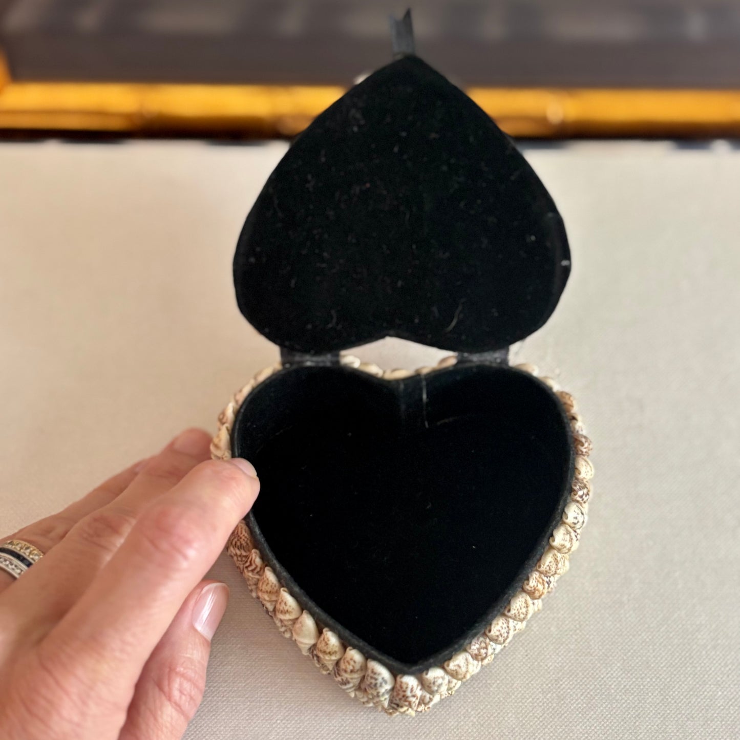 Heart Shell Box